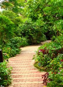 Postcard worthy pathway at Sonya's Garden